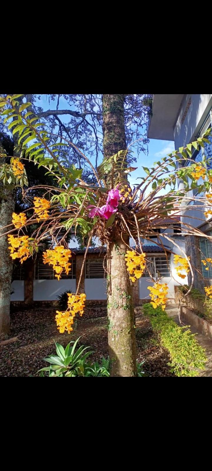 Casarao Ao Lado Do Majestic Holiday home *