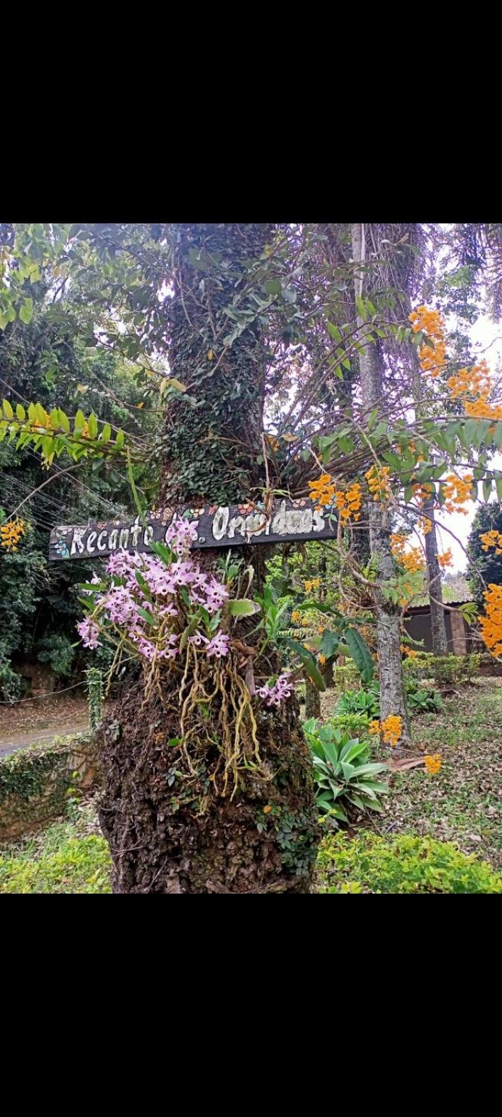 Casarao Ao Lado Do Majestic Holiday home